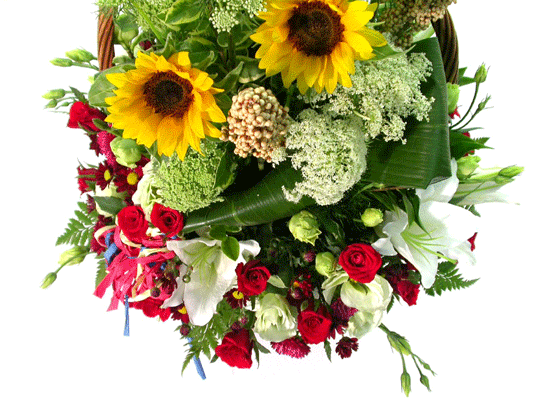 [���Ϲٱ���] Thanksgiving-ǳ��ο� ���� ���� �ɹ��