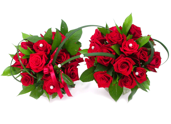 Rosegarden-  ɹ
