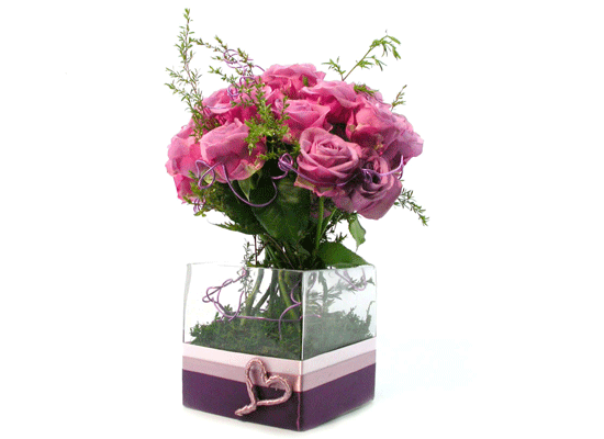 []The Rose - Lady purple  ɹ