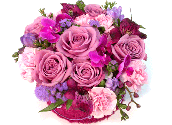 []Birthday - Ű Ʈκ  ɹ