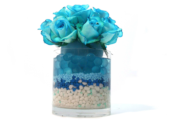 Lusy Blue()  ɹ