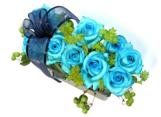 Blue Zulu(ٷ)  ɹ