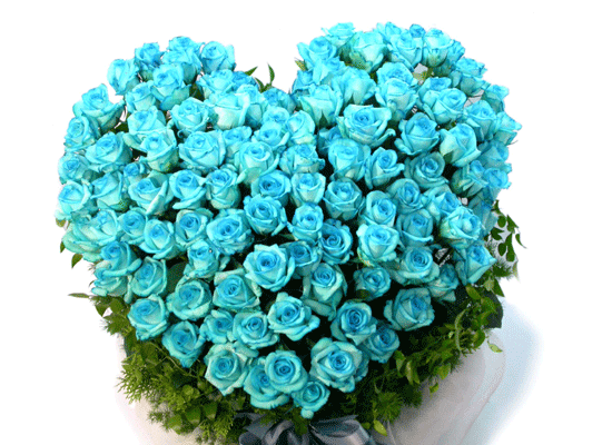 [￹] [100]Captaine Blue(ĸƾ)  ɹ
