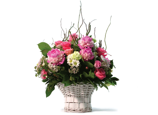 »ç¶ûÀ̶õ? - ÈâÇÑ ³¯! ²ÉÁý ²É¹è´Þ