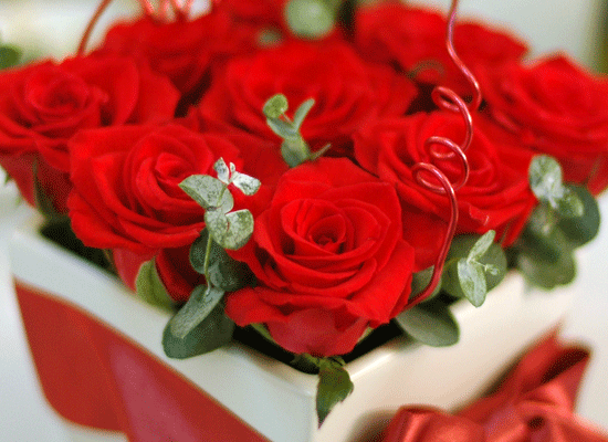 With  - Àå¹Ì ²ÉÁý ²É¹è´Þ