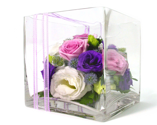   - (Rose)  ɹ
