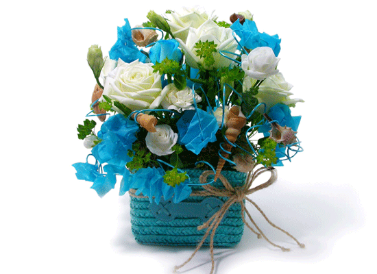The Blue Paradise - If I could ���� �ɹ��