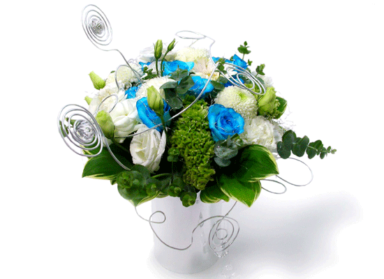 The Blue Paradise - Staple it together ���� �ɹ��