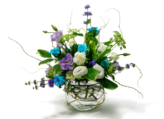 The Blue Paradise - Belle ���� �ɹ��