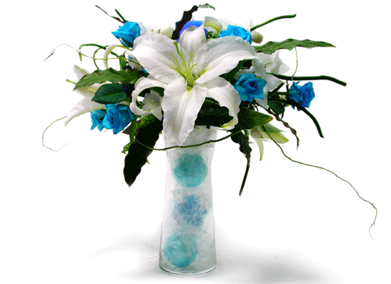 The Blue Paradise - Never know ���� �ɹ��