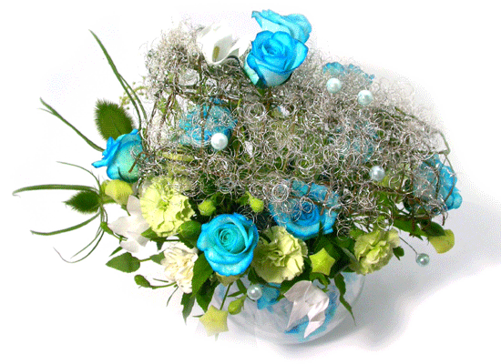 The Blue Paradise - Better together ���� �ɹ��