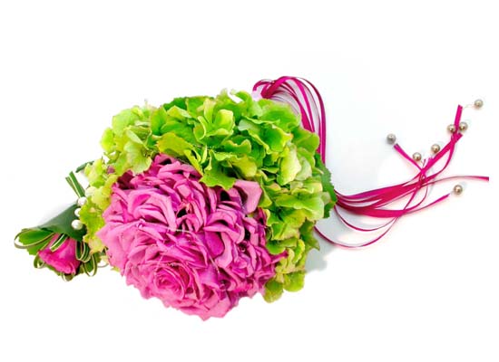 ��ȥ�ؿ� - �������� ���� �ɹ��