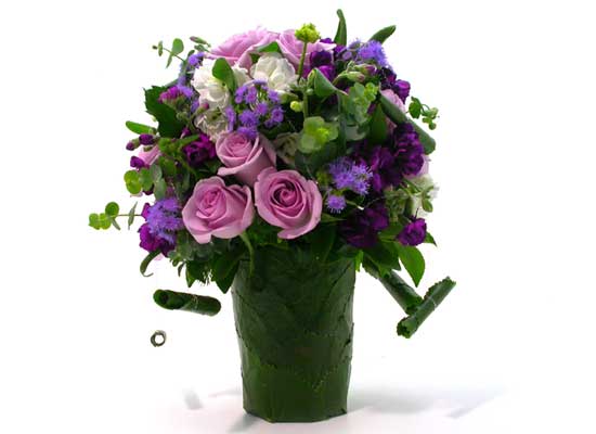 Floristic Basic - Purple(Ǽ)  ɹ