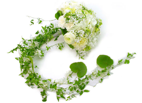 �Ͼᴫ���� ������ �ʸ� ����� ���� �ɹ��