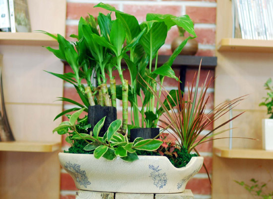 �츮�� ���� ���� �ɹ��