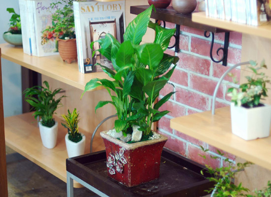 ���� ����Ʈ�ʸ� ���� �ɹ��