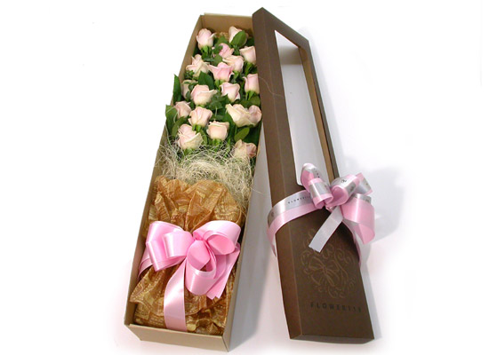 Trend box - ּҼ  ɹ