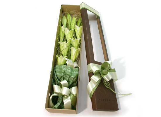 Trend box - pure story  ɹ