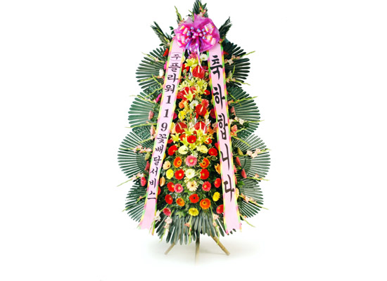 ����3��ȭȯ ���� �ɹ��