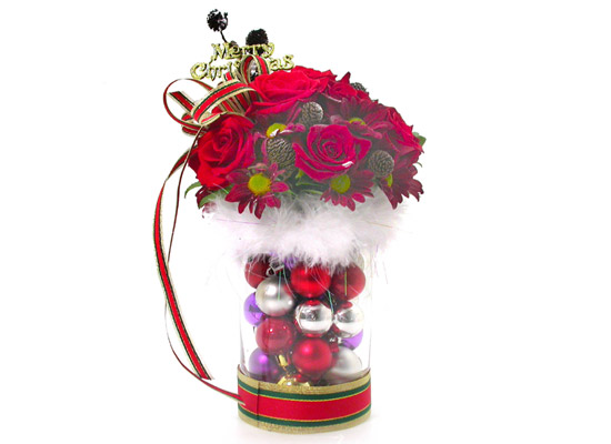 12  - Wish you  merry christmas  ɹ