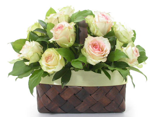 []flowery fiction -   ɹ