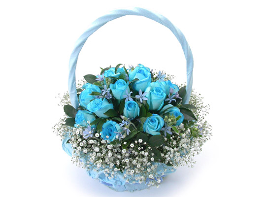 [] flowery fiction - ī  ɹ