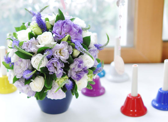 []Lovely lover - Purple veronica  ɹ