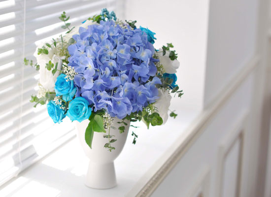 []That's cool - Blue  cloud  ɹ