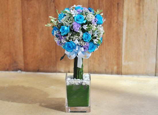 []That's cool - Blue topiary  ɹ