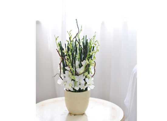 [������] Chic feminine2 - Green Sky ���� �ɹ��