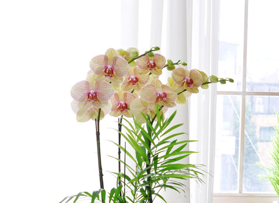 ������ ��� - ���� ȭ�⿡ ���� ȣ���� ���� �ɹ��