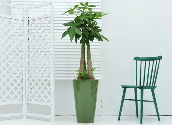 ������õ �������� - ���� ��Ű��A ���� �ɹ��