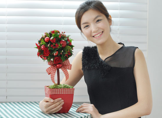 []Romantic Christmas - ũ Ǿ  ɹ