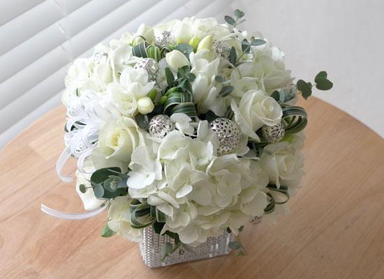 []Just pure white  ɹ