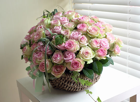 [￹] Rose & Royal pink  ɹ