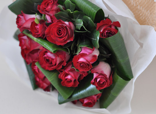 Rose & ũ����Ż ���� ���� �ɹ��