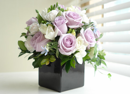 [] Rose & Silk violet  ɹ
