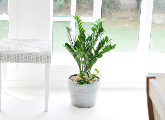 ������ ���� ���� -  ������ ���� �ɹ��