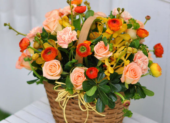 [] ŭ ܿ  - Happy winter orange  ɹ