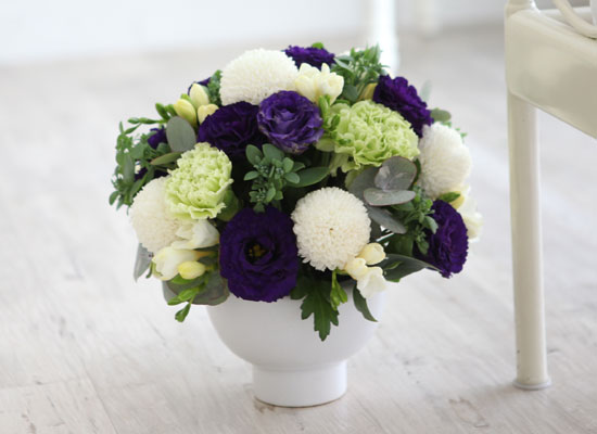 [] Elegant noble III - Pearl  ɹ