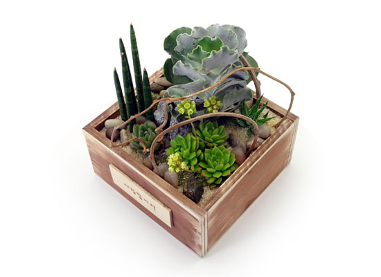 [] Office & Nature - Natural Garden(ȭǰ ٸȭ ü)  ɹ