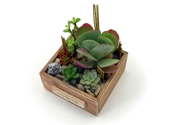 [] Office & Nature - Plant Garden  ɹ