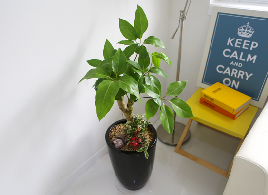 Office&Nature -   ȿ 뿱ȫ(ȭⰡ   ֽϴ.)  ɹ