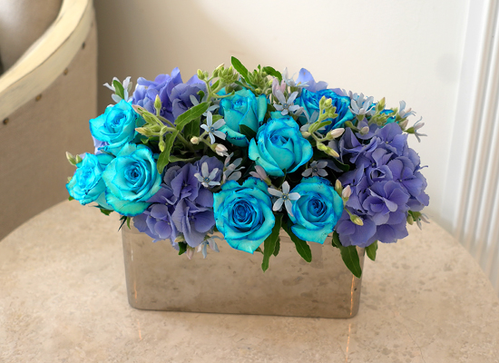 [] Beautiful colors - Silver Blue  ɹ