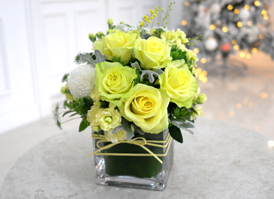 [] Winter Wonderland - Sweet Lemon  ɹ