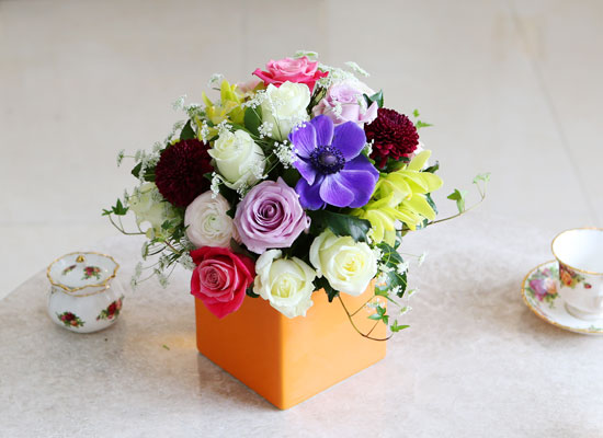 [] Spring & Sweet - ʸ(ȭ   ֽϴ)  ɹ