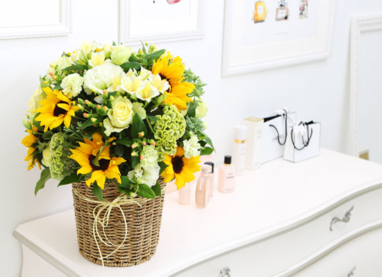 sunflower - عٶ ѹٱ  ɹ