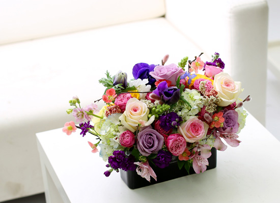 Natural spring flowers - ���� ��ũ�� ���� �ɹ��