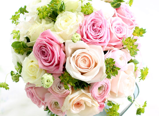 Rose Day - ȭƮ Pink  ɹ