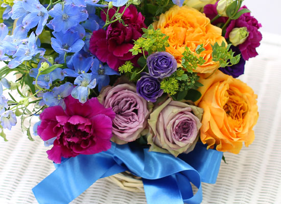 Rose Day - Life is cool  ɹ